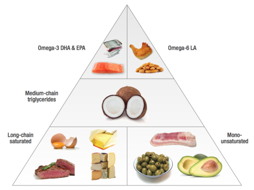 Fat food pyramid